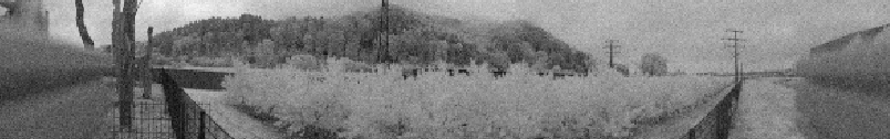 Example grayscale multiScan ambient-light image showing railway tracks, trees, hills and overhead line poles