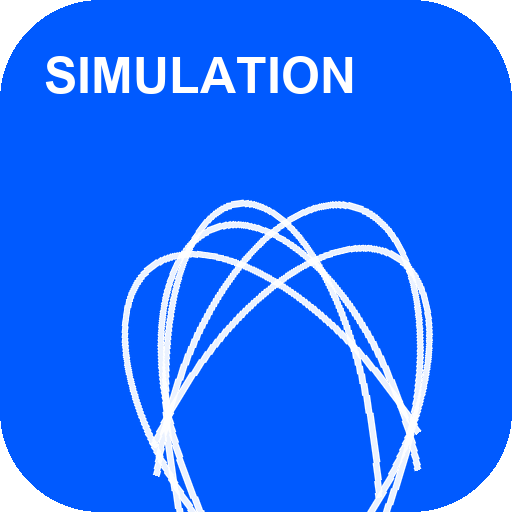 Simulation